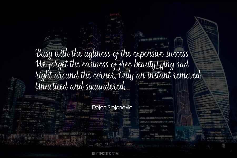 Beauty Of Success Quotes #1757082