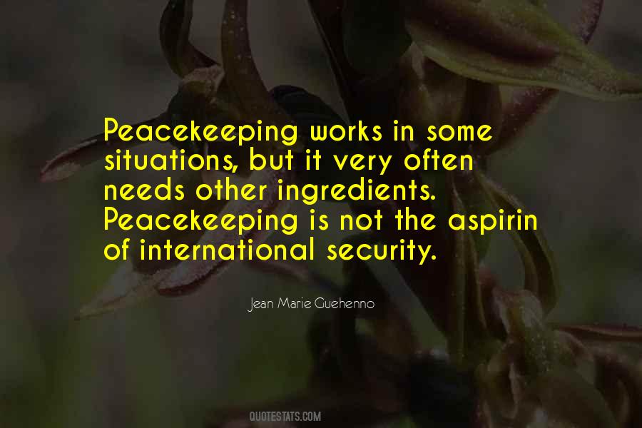 Quotes About Un Peacekeeping #1386596