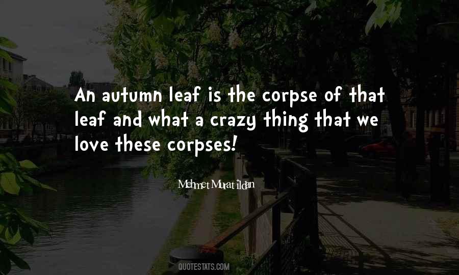 Autumn Love Quotes #606722