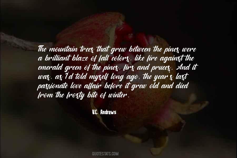 Autumn Love Quotes #711908