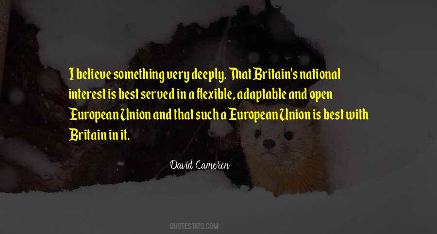 Quotes About European Union #914510