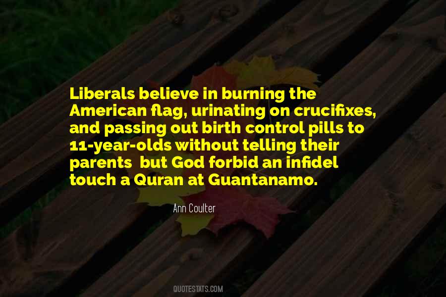 Quotes About Burning The American Flag #469248