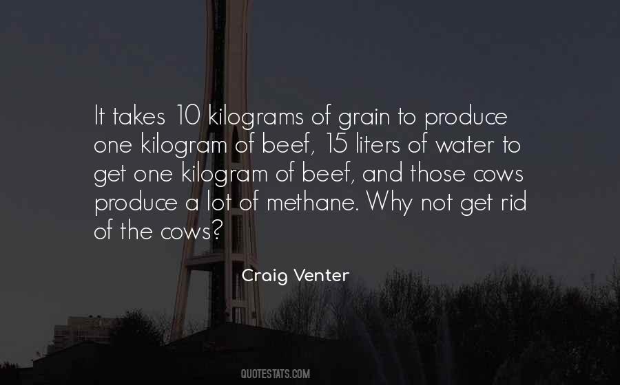 Quotes About Cows #1033587
