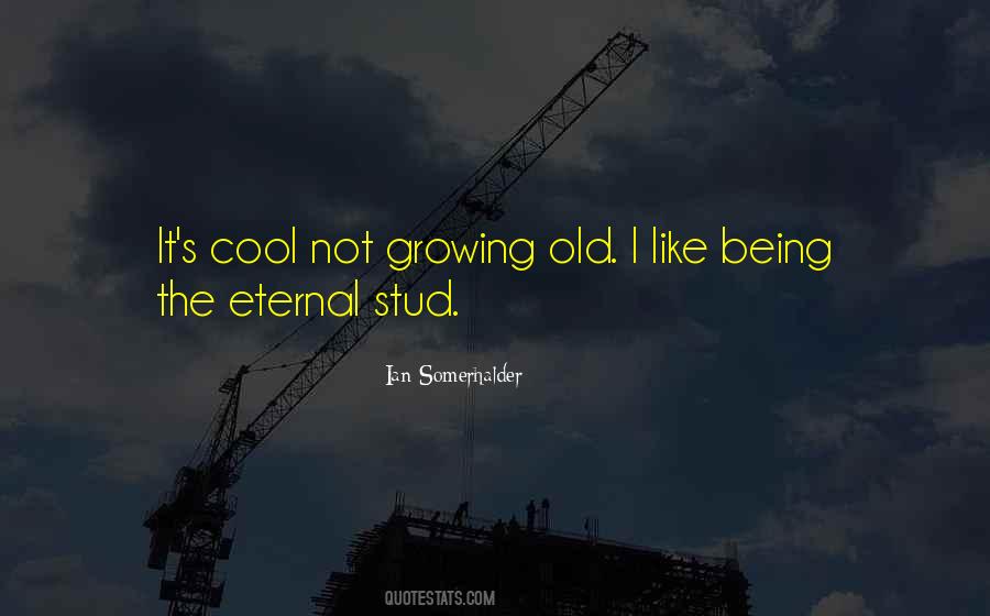 Quotes About Growing Old With You #232355