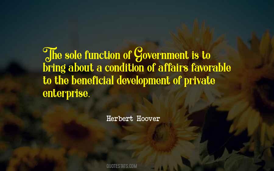 Function Of Government Quotes #1026351
