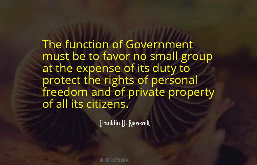Function Of Government Quotes #11475
