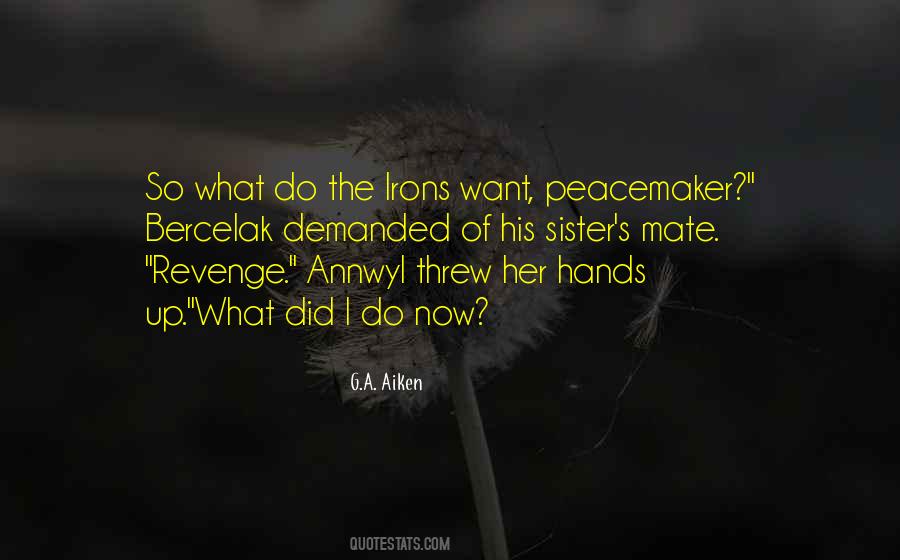Be A Peacemaker Quotes #661756