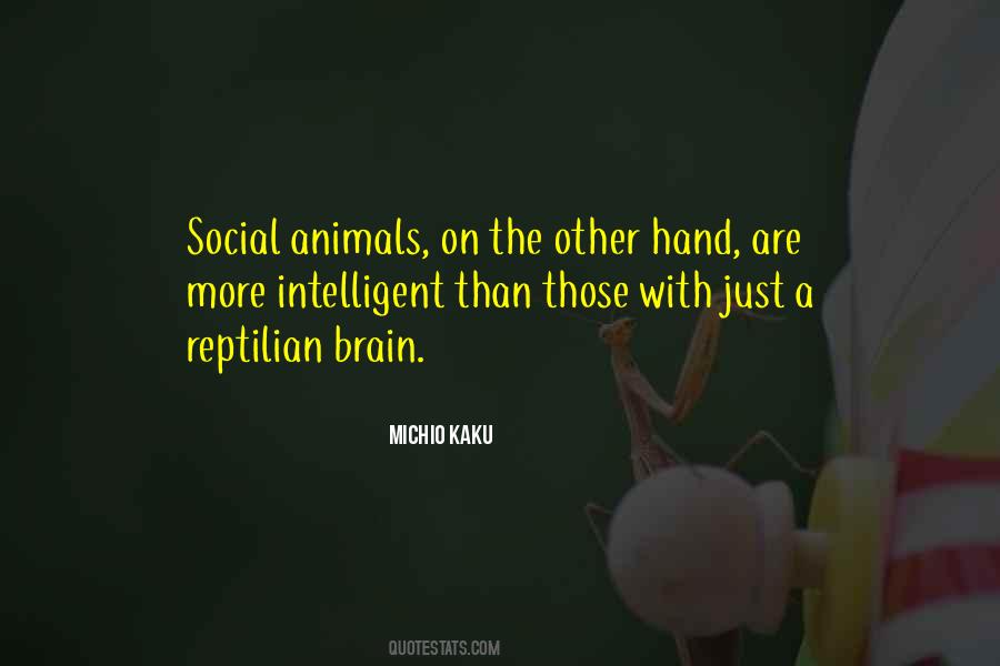 Social Animals Quotes #1332676