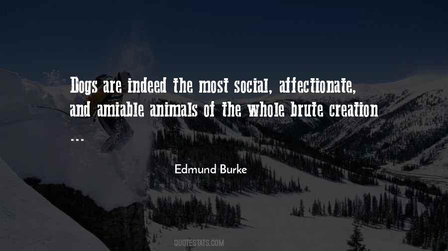 Social Animals Quotes #1833159