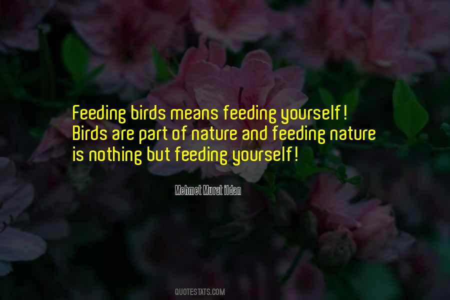 Quotes About Feeding The Birds #1736556