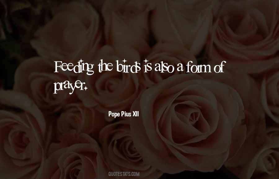 Quotes About Feeding The Birds #267075