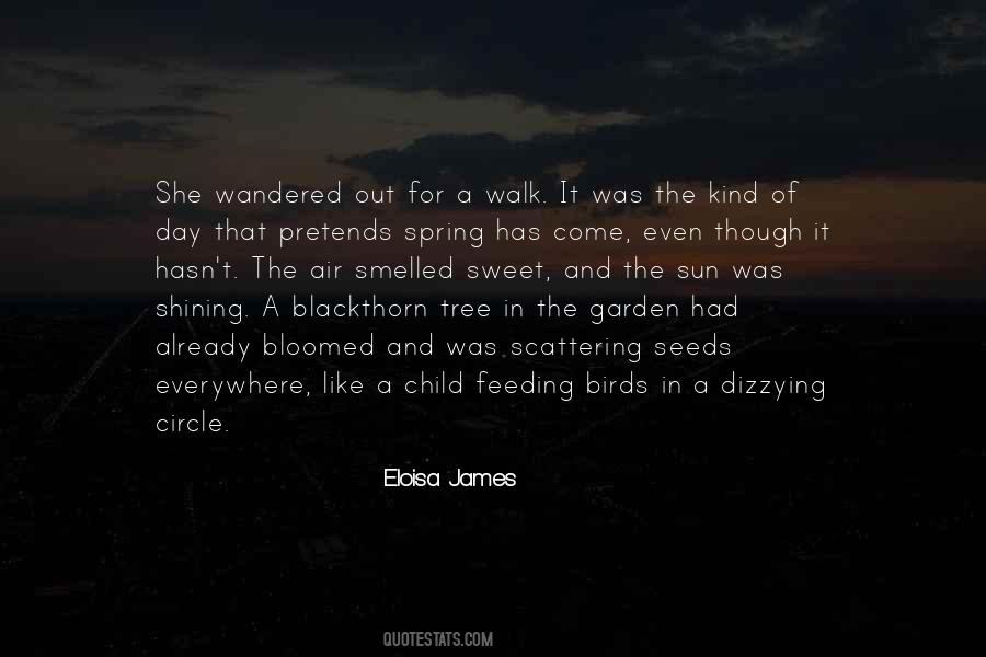 Quotes About Feeding The Birds #44675