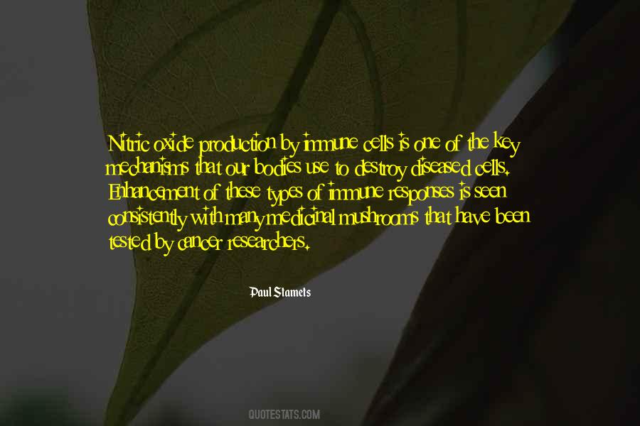 Use The Key Quotes #999059