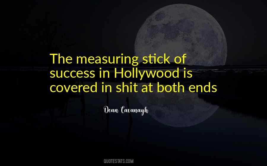 Quotes About Measuring Success #259681