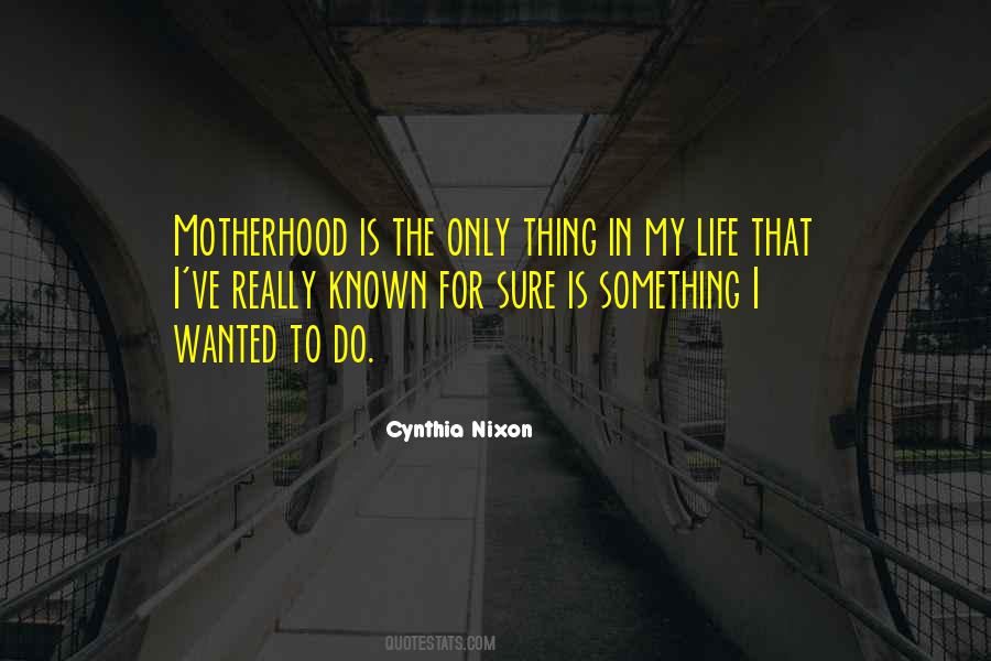 Quotes About Motherhood #1002690
