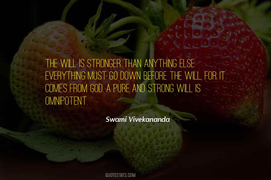 Quotes About Strong Will #705397