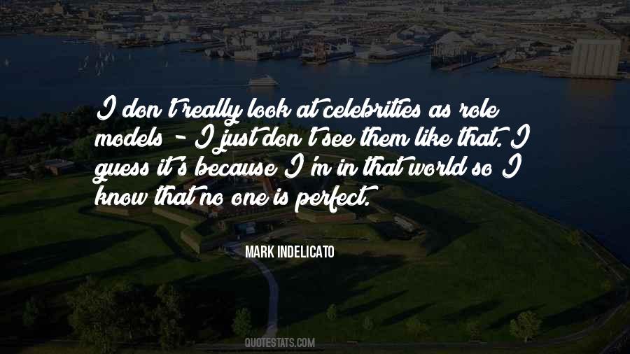 Quotes About Celebrities As Role Models #19652