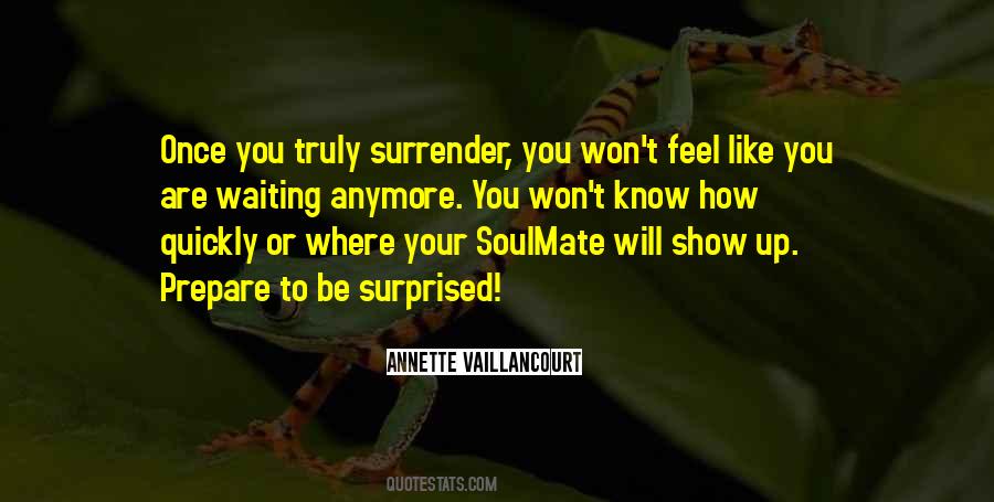 Quotes About Soulmate #1003470