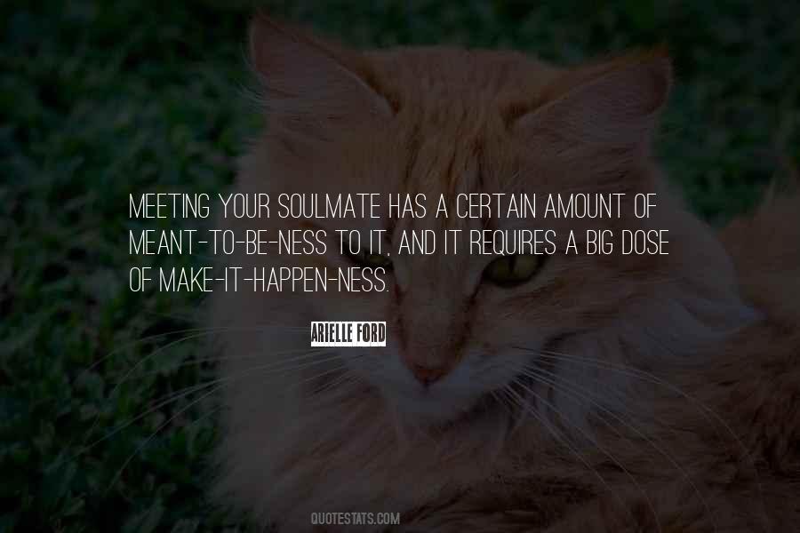 Quotes About Soulmate #816629