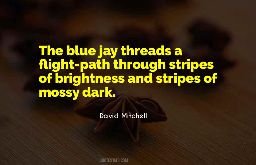 Quotes About A Dark Path #412570