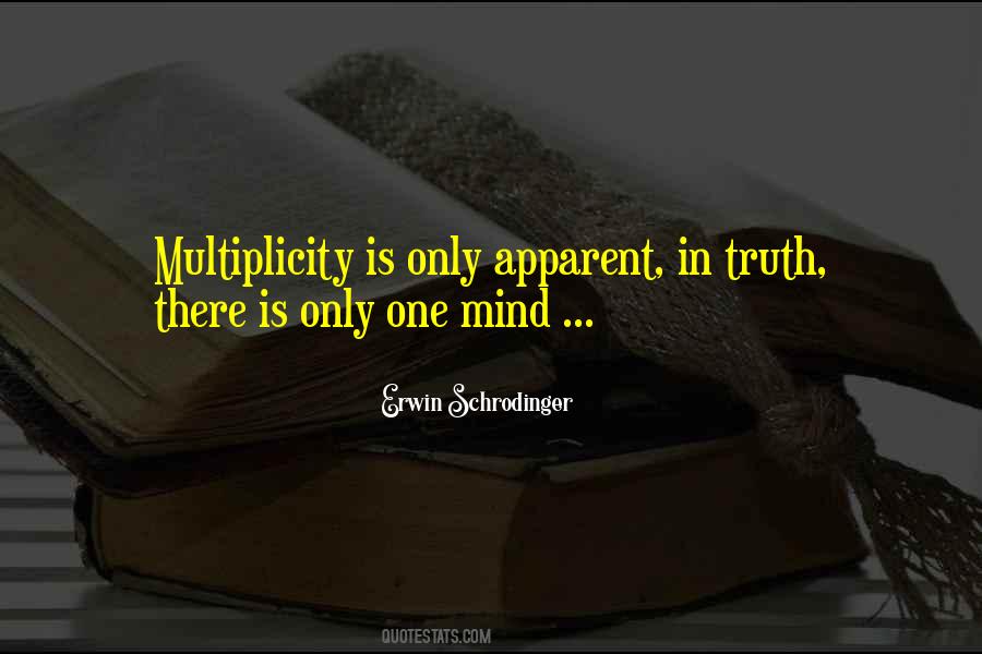 Quotes About Multiplicity #48431