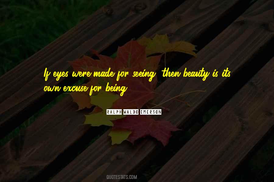 Quotes About Not Seeing Your Own Beauty #1871101