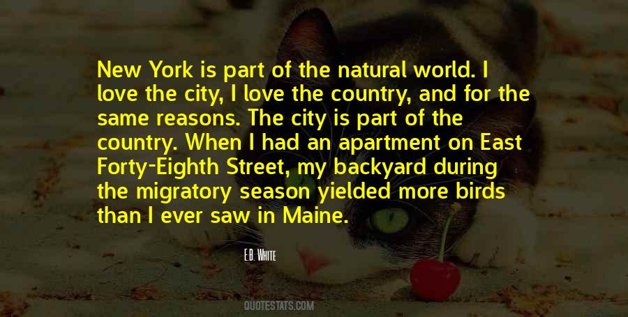 Love My City Quotes #73527