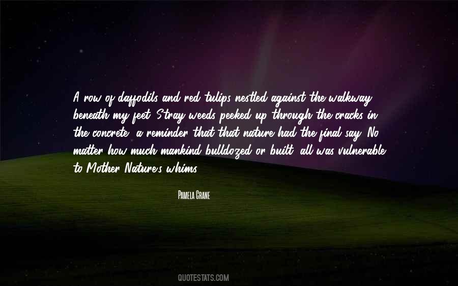Quotes About Red Tulips #1328552