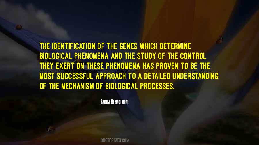 Quotes About Identification #1055924
