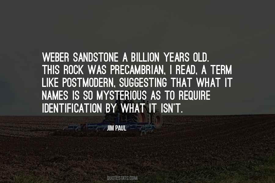 Quotes About Identification #1655643