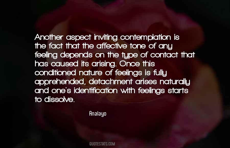 Quotes About Identification #1821275