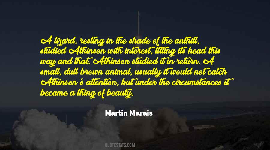 Quotes About The Beauty Of Africa #1104616