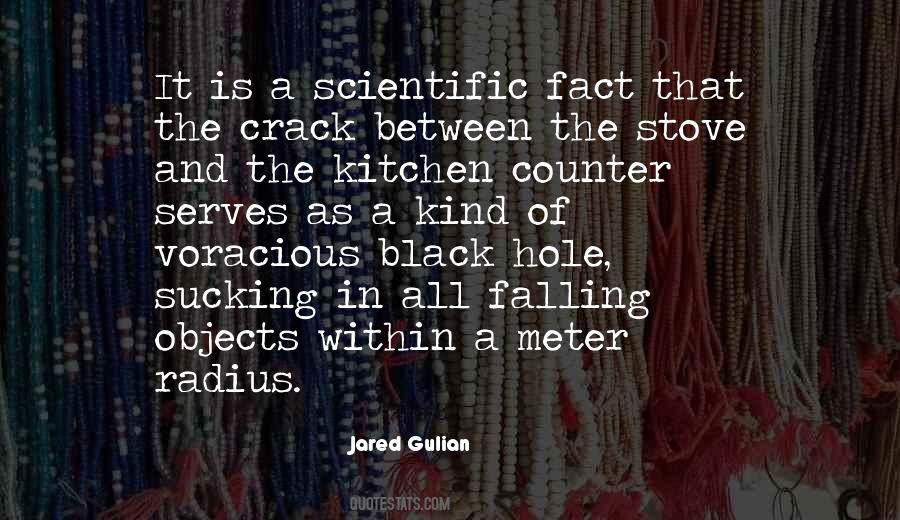 Quotes About Falling Objects #1508362
