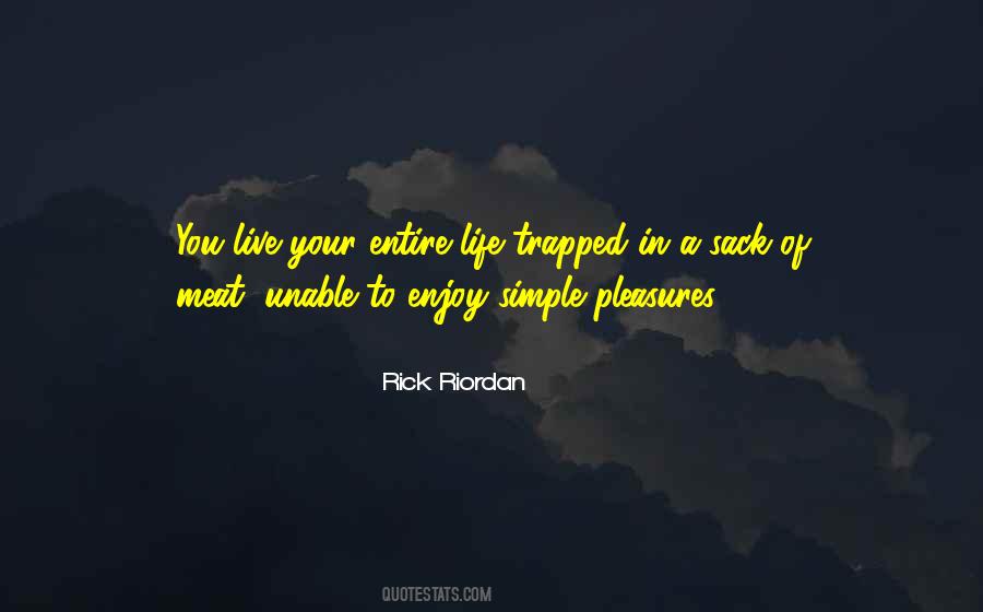 Quotes About The Simple Pleasures In Life #1647914
