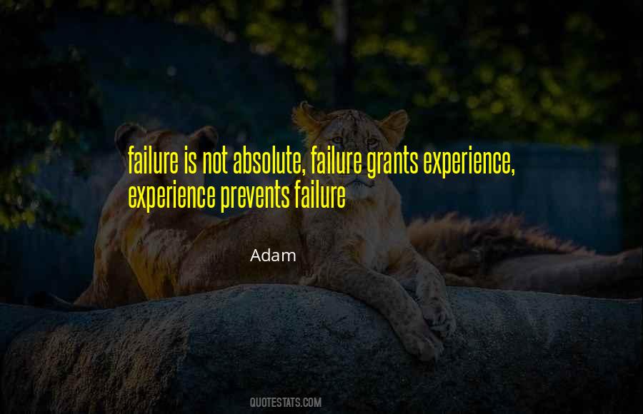 Experience Failure Quotes #113646