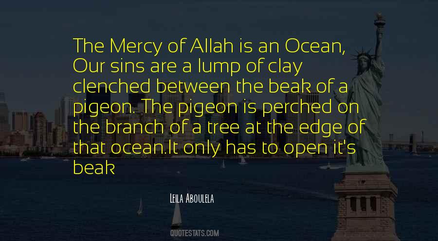 Quotes About The Mercy Of Allah #544650