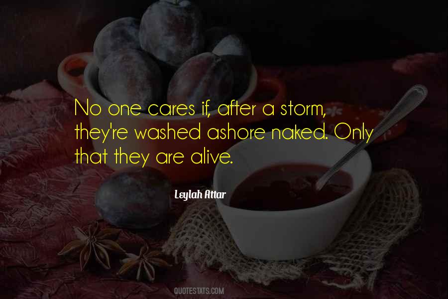 Quotes About No One Cares #1483179