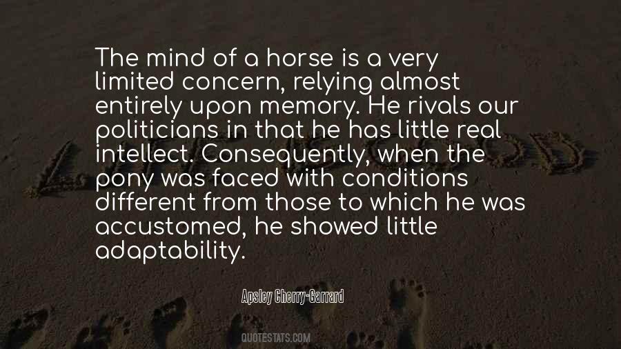 Quotes About Little Memories #868763