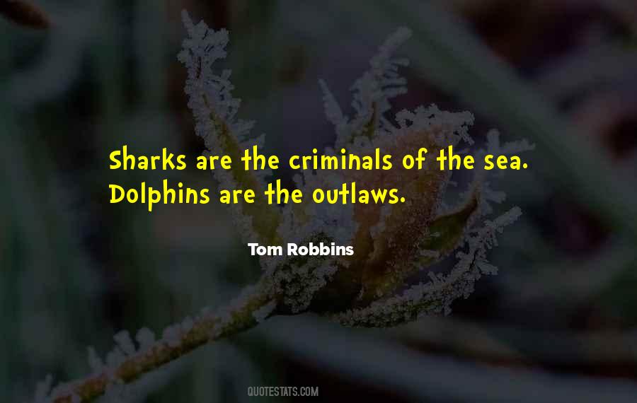 Non Criminals Quotes #61792