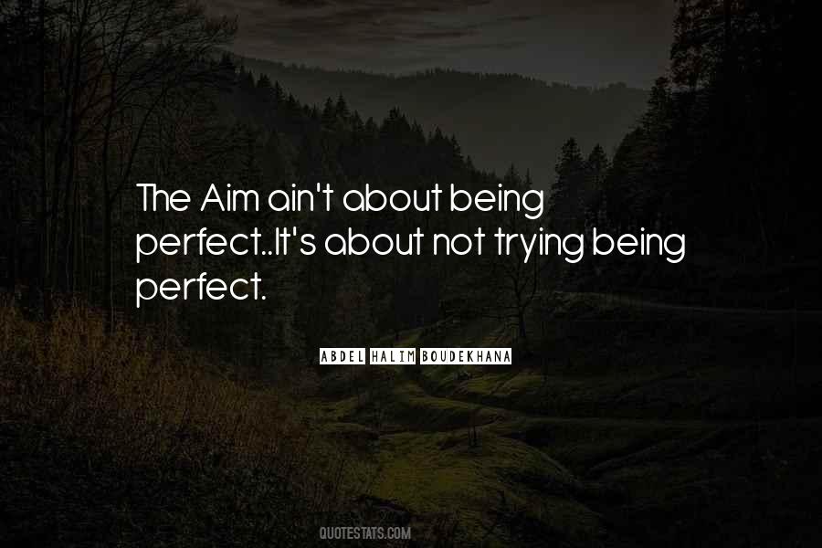 Quotes About Being Not Perfect #1138150