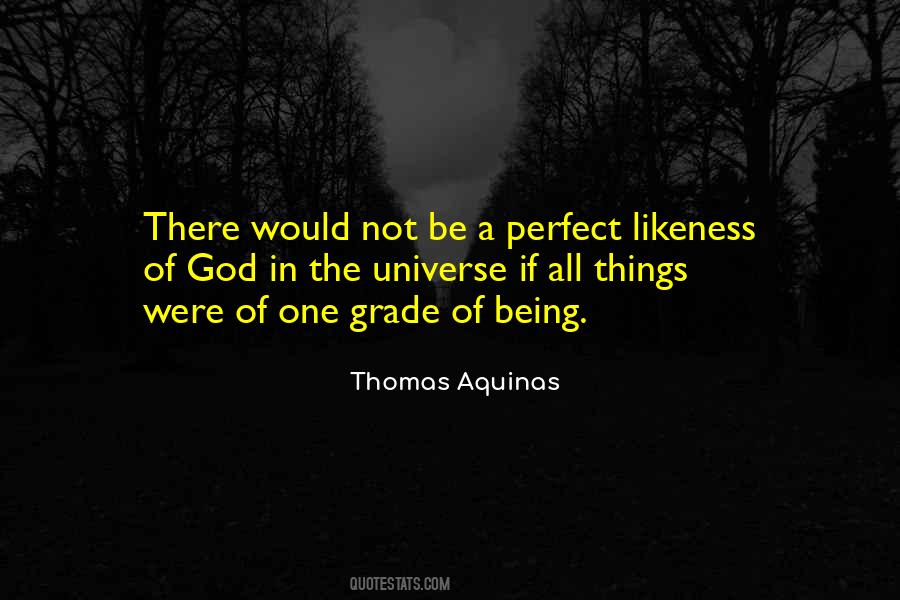 Quotes About Being Not Perfect #1179573