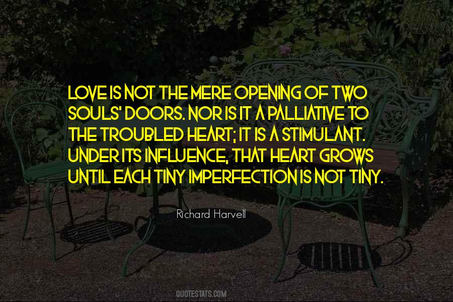 Quotes About Imperfection #1829227