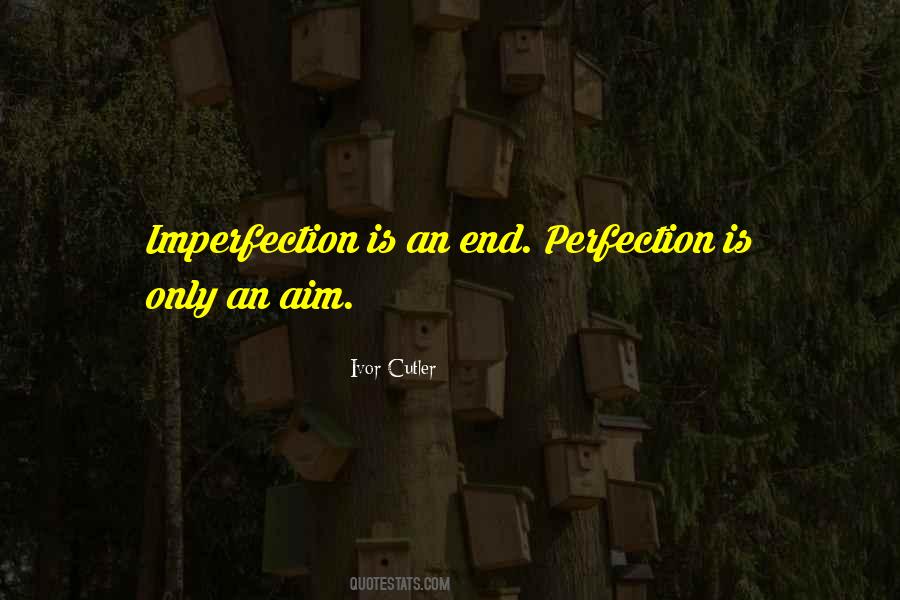 Quotes About Imperfection #908835