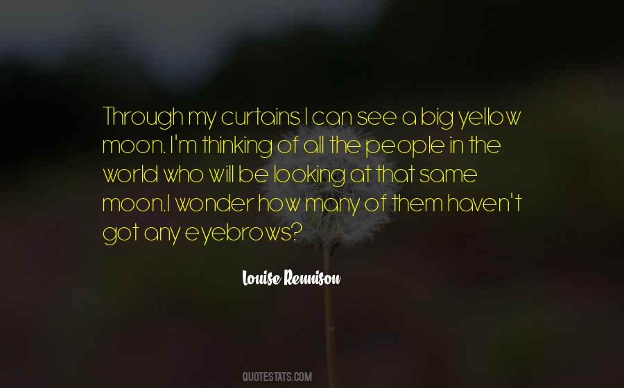 Quotes About Eyebrows #971406