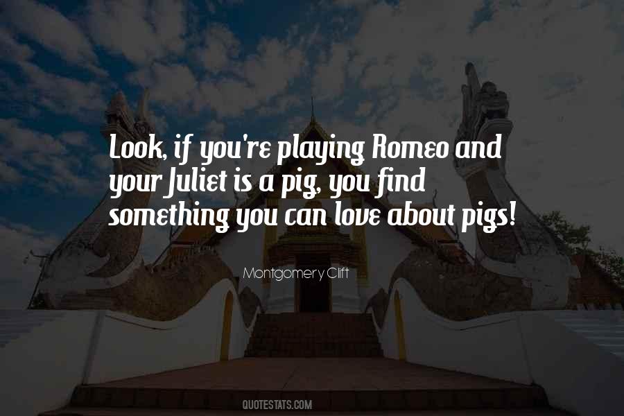 Quotes About Pigs #1242861