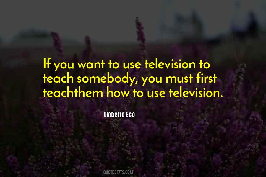 Quotes About Television And Education #1796969