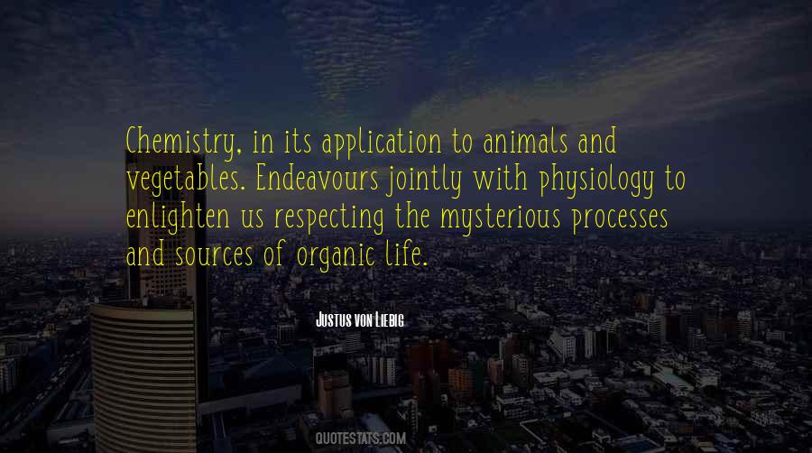 Quotes About Respecting All Life #66761