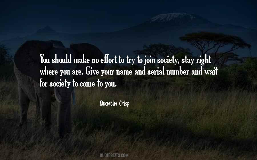 Right Effort Quotes #1001022