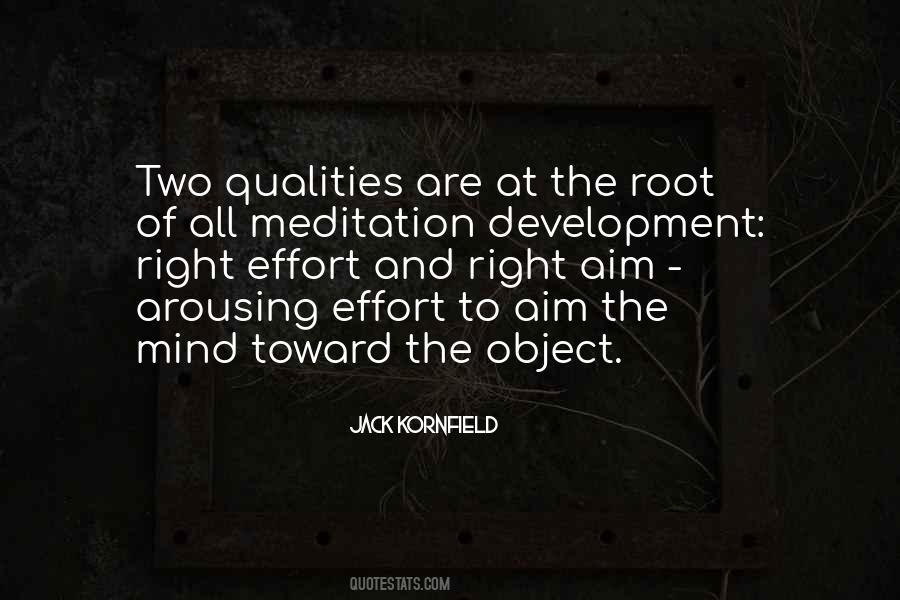 Right Effort Quotes #608540