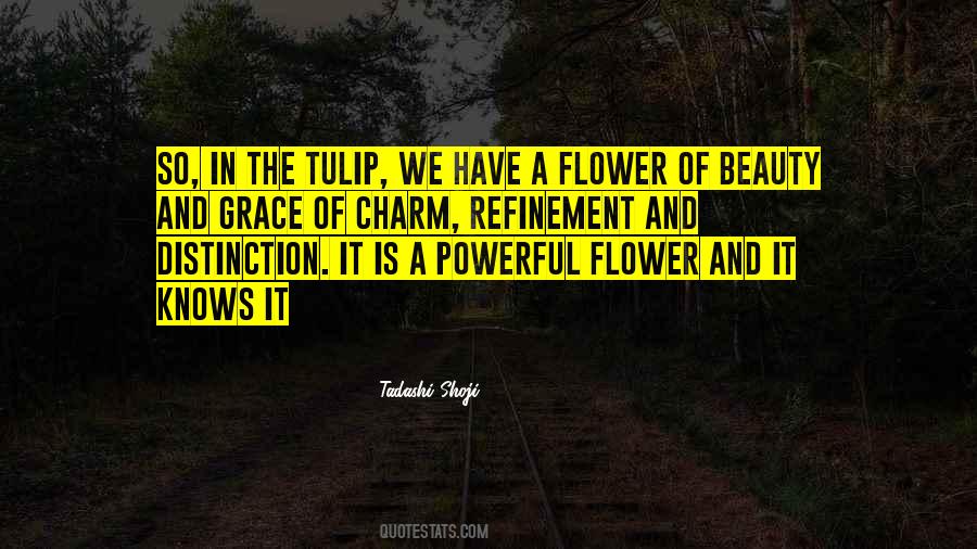 Charm And Beauty Quotes #1034074